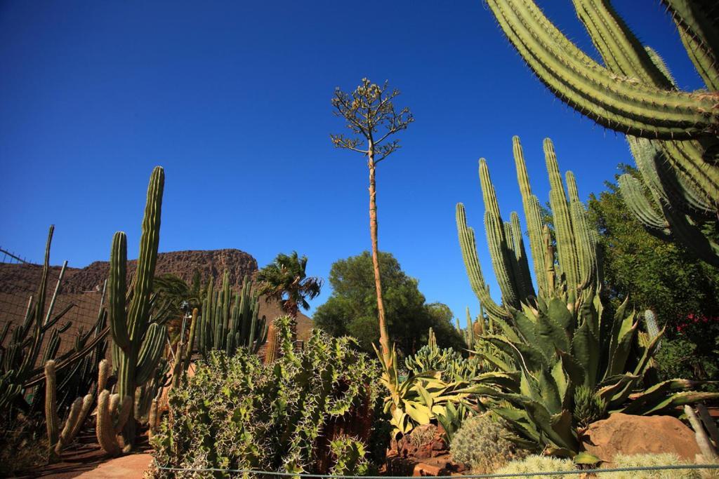 Sunny Bungalow With Garden #1 Maspalomas (Gran Canaria) Exterior foto